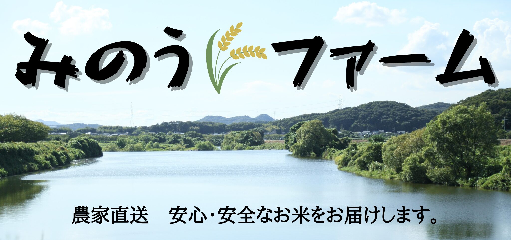 みのうファームとは　無農薬・無肥料　自然栽培米　農家直送