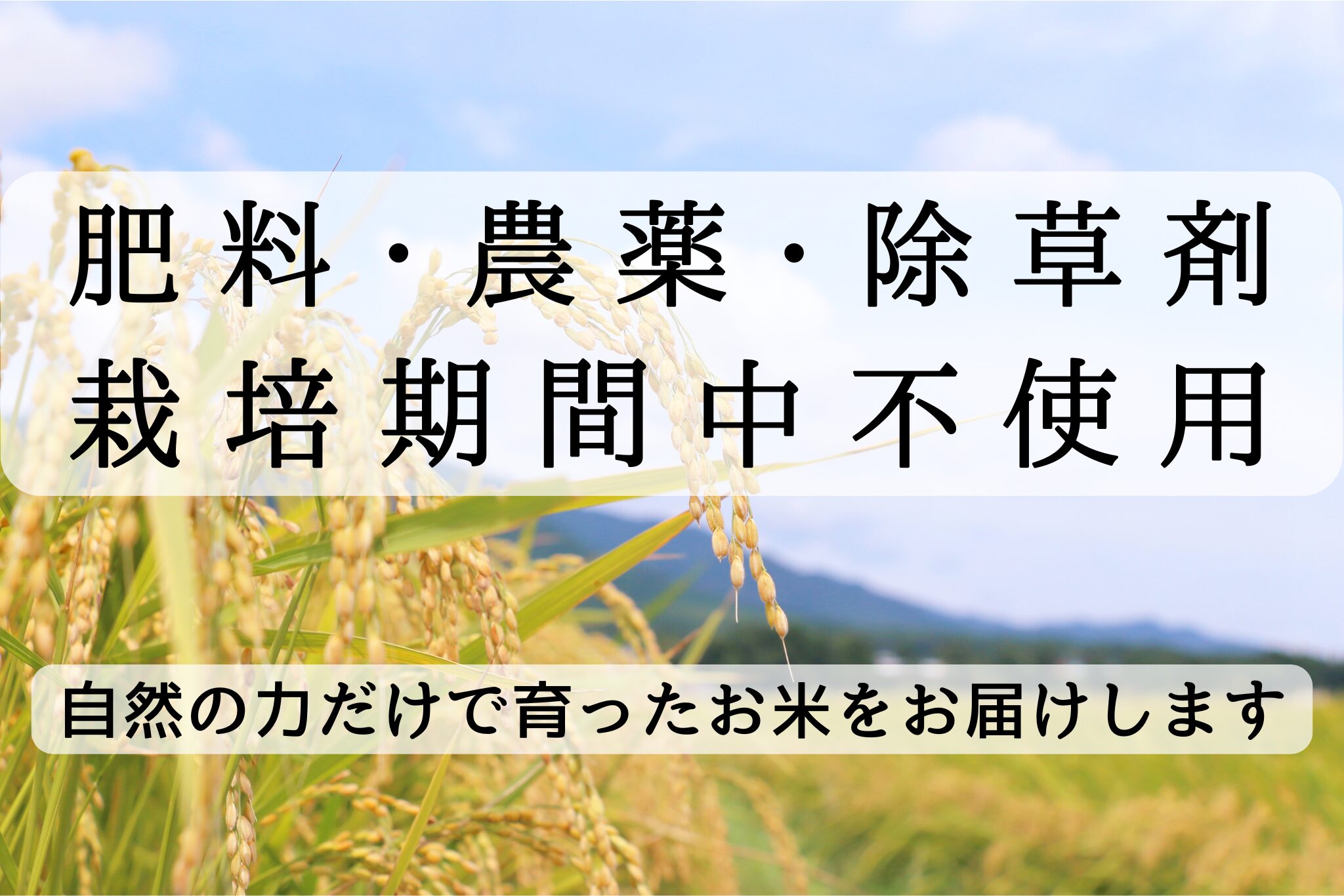みのうファーム　無肥料・無農薬　自然栽培米　通販サイト